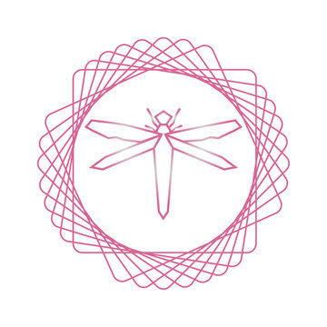 vector image of Dragonfly in pink lines with white background