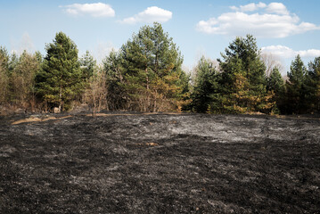 After the fire