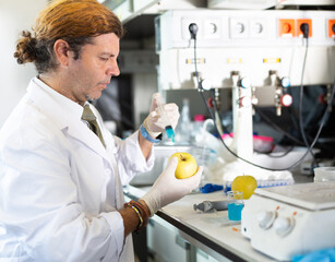 Focused male scientist working in food testing laboratory, provide testing services of apple to...