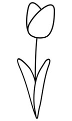 Obraz premium Hand drawn flower outline isolated on white background