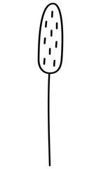 Flower outline isolated on white background