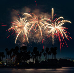 Fototapeta na wymiar Red and yellow fireworks crackle and pop above palm tree silhouette