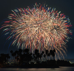 Red, white and blue fireworks explode above palm trees