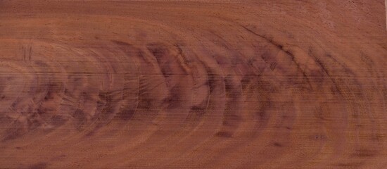 Juglans nigra Black Walnut Crotch Wood color chip sample. North American wood used in furniture and guitar making.  This unusual grain pattern is caused between two or more limbs reach out from trunk.