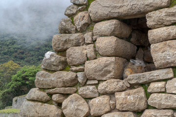 Vizcacha en el sitio arqueológico de Machu Picchu 