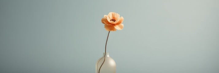 A single orange flower in a clear vase. Generative AI image.