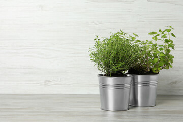 Different aromatic potted herbs on light table against white wooden background. Space for text