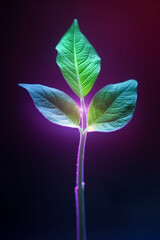 Leaves in Ultraviolet Light, Generative AI