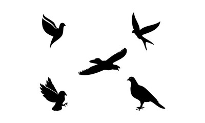 Plakat Bird set illustration vector design