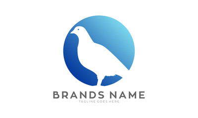 Dove bird simple icon logo