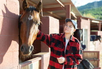 Caring young female farmworker petting stroking head of horse on animal ranch club on autumn sunny...
