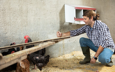Male worker farm feeding hens in a chicken coop © JackF
