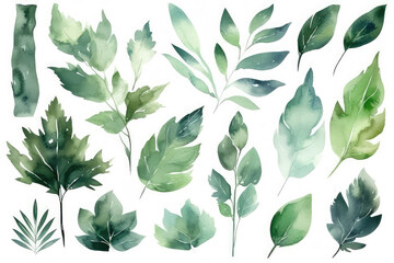 green brush strokes, leaves and other plants, in the style of watercolor illustrations, generative AI
