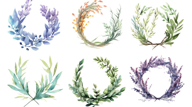 herb wreath in watercolor style, isolated on a transparent background for design layouts