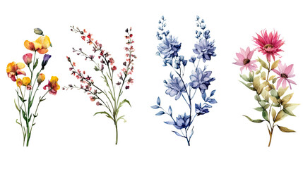 Obraz na płótnie Canvas wildflower corner ornaments in watercolor style, isolated on a transparent background for design layouts