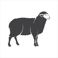 Sheep simple icon. Sheep sign. Lamb silhouette icon. Trendy sheep design illustration. Vector illustration