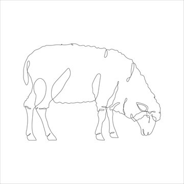recommend clip art: Sheep in one continuous line drawing. Sheep icon. Lamb line art icon concept. Trendy sheep single line draw design illustration. Vector illustration