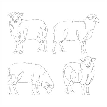 Sheep line art vector icon set. Lamb in continous line drawing. Sheep goat animal line art design pack. Lamb symbol. Vector illustration.