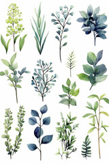 bunch of different types of plants, botanic foliage, botanic watercolors, botanic, green plants, botanical, botanical background. Generative AI