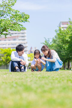 四つ葉を探す家族