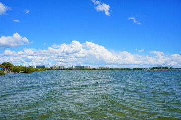 Tampa bay landscape in winter