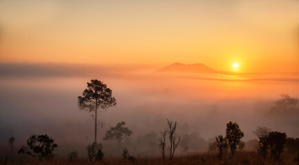 Beautiful landscape of foggy morning sunrise in Thung Salaeng Luang, Phetchabun of Thailand.