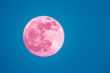 Strawberry  moon in the sky