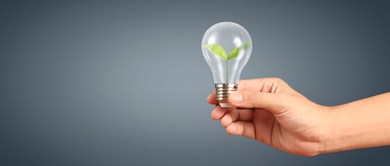 Humans hold light bulbs in hand innovative technology