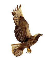 Eagle bird in flight. Realistic illustration of flying falcon, hawk birds. Wild predator. Watercolor wildlife  - 609806108