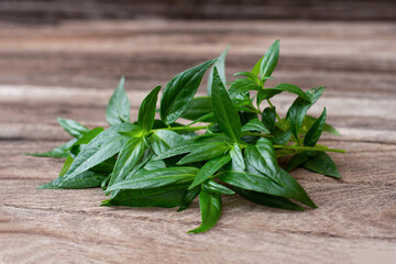 Andrographis paniculata leaf on wooden table background.