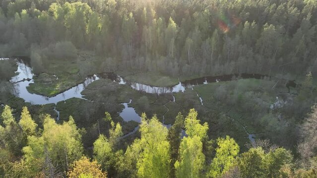 Aerial view over the Õhne river in Valgamaa before sunset, Estonia.