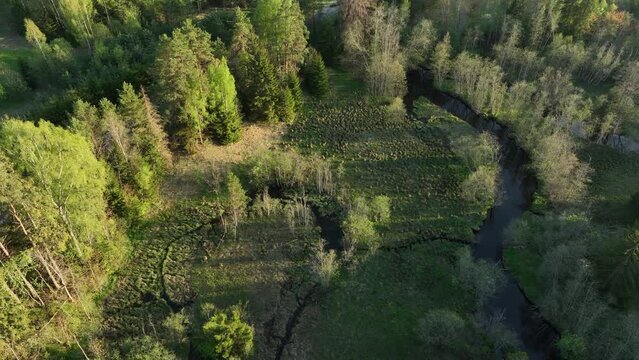 Flight over the Õhne river in Valgamaa shortly before sunset. Estonia.