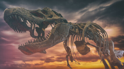 A tyrannosaurus rex dinosaur fossil skull against a background of dark gloomy skies, extinction event.
