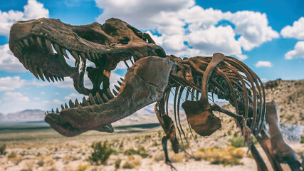A tyrannosaurus rex dinosaur fossil skull and skeleton against a background of a desert.