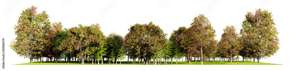 Poster png autumn tree and forest line , 3d illustration rendering