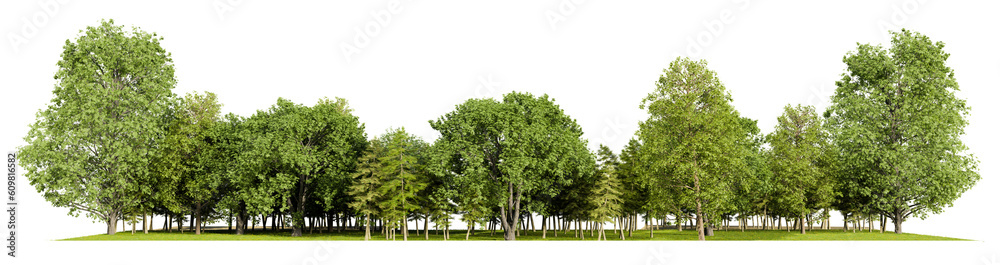 Aufkleber forest line png file transparent background, 3d illustration rendering