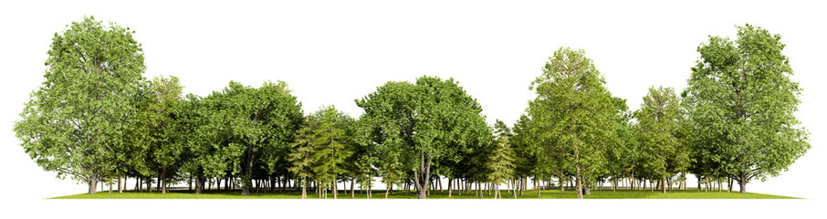 Fototapeta na wymiar forest line PNG file transparent background, 3d illustration rendering