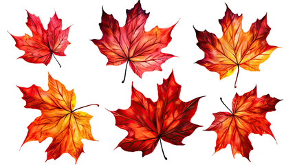 vibrant autumn maple leaves isolated on a transparent background for design layouts