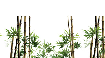 towering bamboo stalks in a peaceful zen garden isolated on a transparent background for design layouts