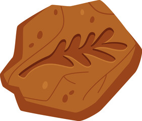 Leaf Silhouette On Fossil