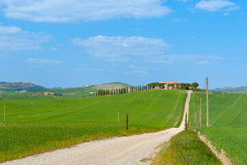 typical  Tuscan rural scene long drive leading through fields to traditional style homestead