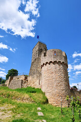 Fototapeta na wymiar Spur castle ruin called Wachtenburg in city Wachenheim,in Rhineland-Palatinate