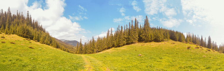 Panorama Carpathians mountains Ukraine