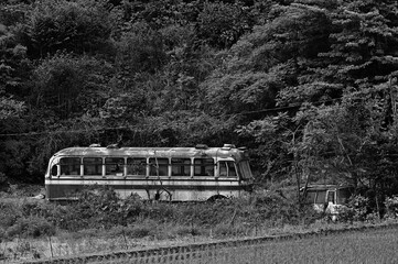 木々に溶けるように同化する廃車