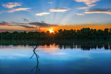 Wild Danube Delta colorful sunset tree in water - 609833304