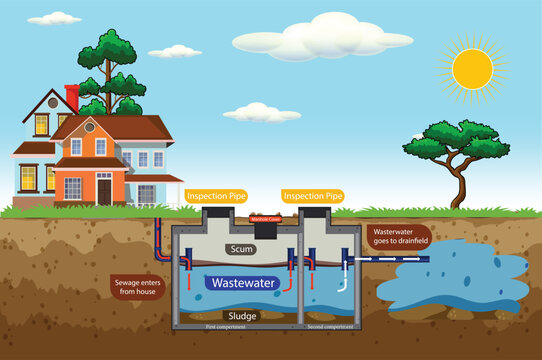 Septic Tank diagram. Septic system and drain field scheme. An underground septic tank illustration.