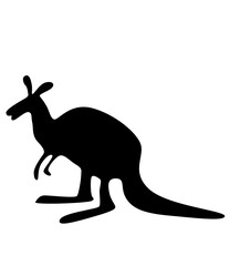  kangaroo