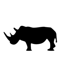 Rhinoceros