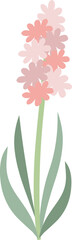Pink hyacinth flower vector icon.  Flat element isolated on white background.