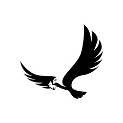 eagle vector illustration